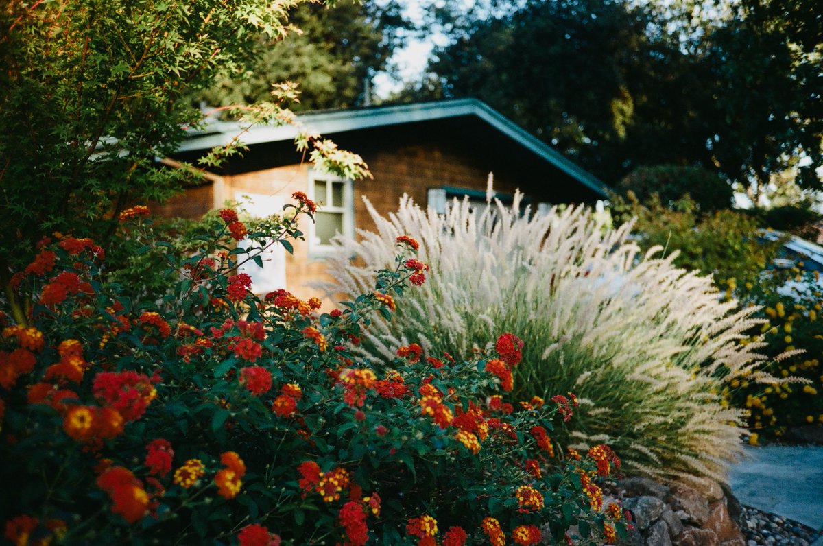 dishk15's tweet image. film