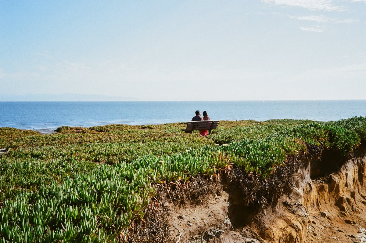 dishk15's tweet image. film