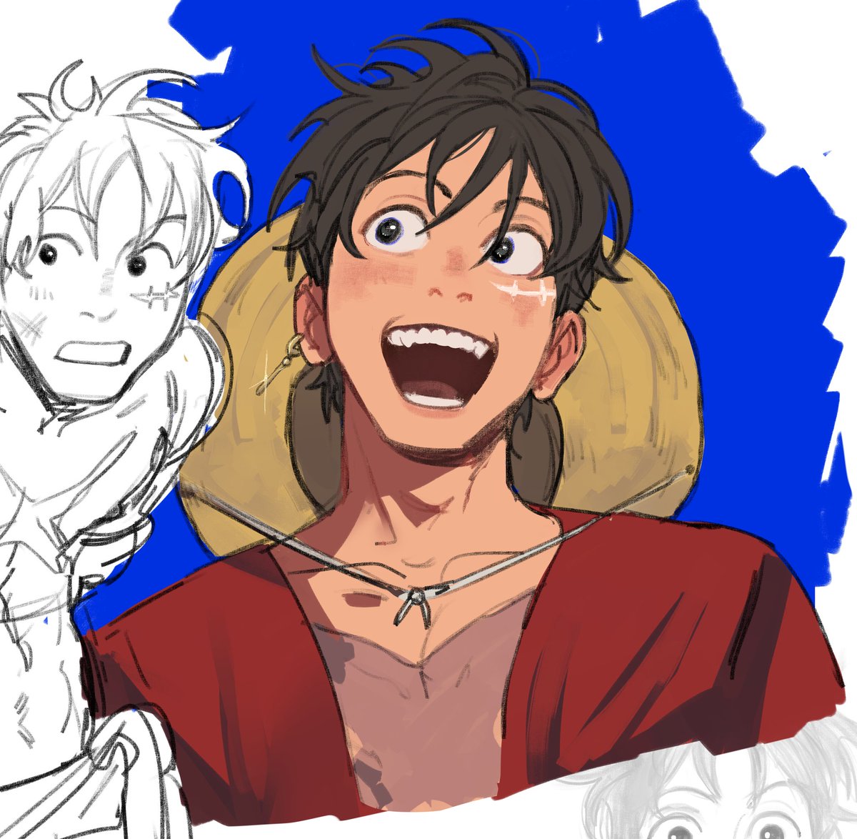 one more luffy