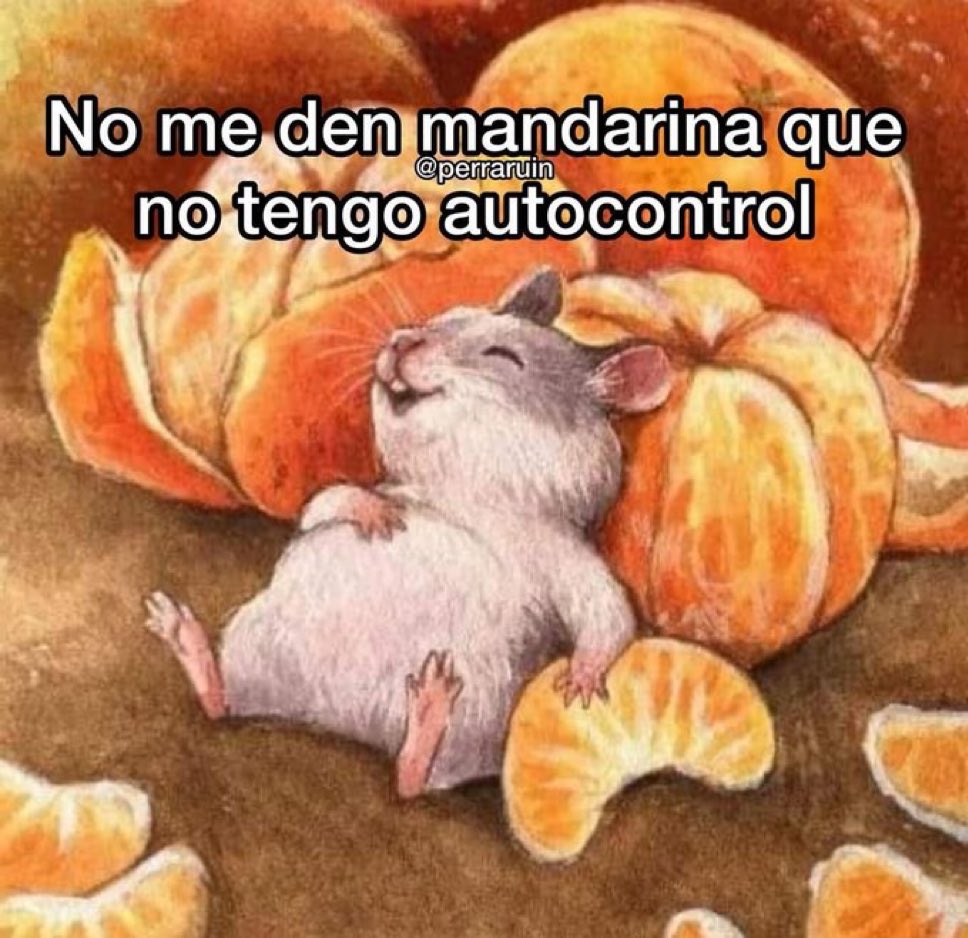 MexicoMagico's tweet image. 