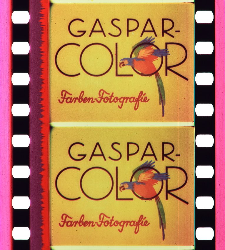 Chiara Marañón tweet media