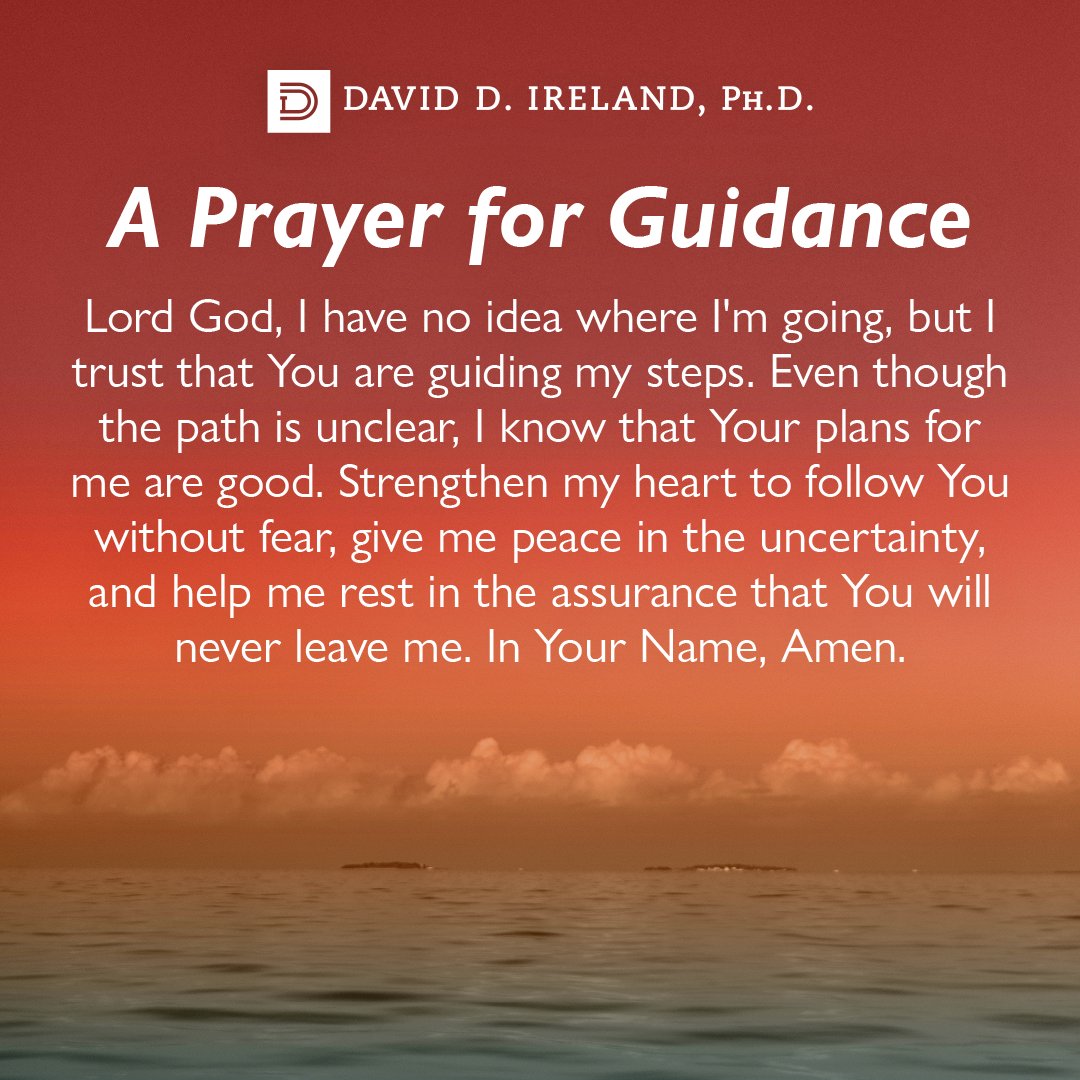 David Ireland tweet media