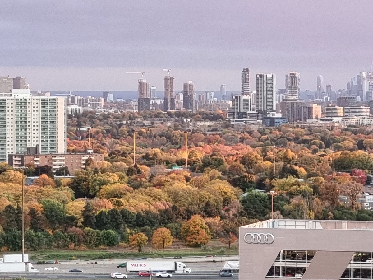 jambi76's tweet photo. Good evening Torontians...autumn shades are here https://t.co/pA7PlPhbGi