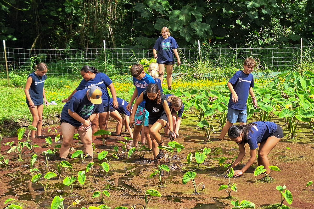 IslandPacificAcademy tweet media