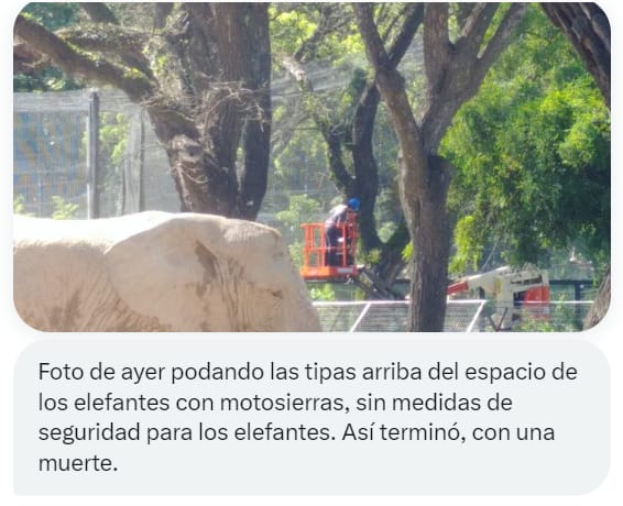 Muerte de la elefanta Cuky en el Ecoparque: Tras una poda de árboles fuera de temporada, la elefanta pasó la noche fuera de su lugar habitual y falleció al caer en un charco en su recinto externo.