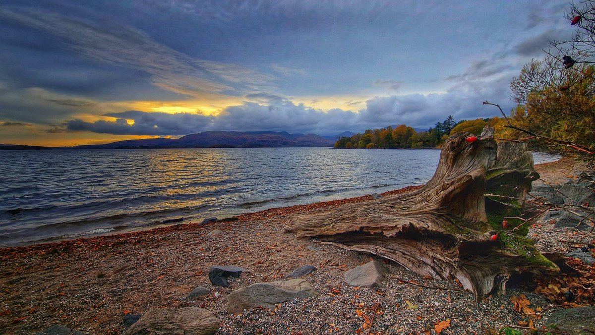 Probably a much photographed log. What the heck, just good to see the sun. Loch Lomond