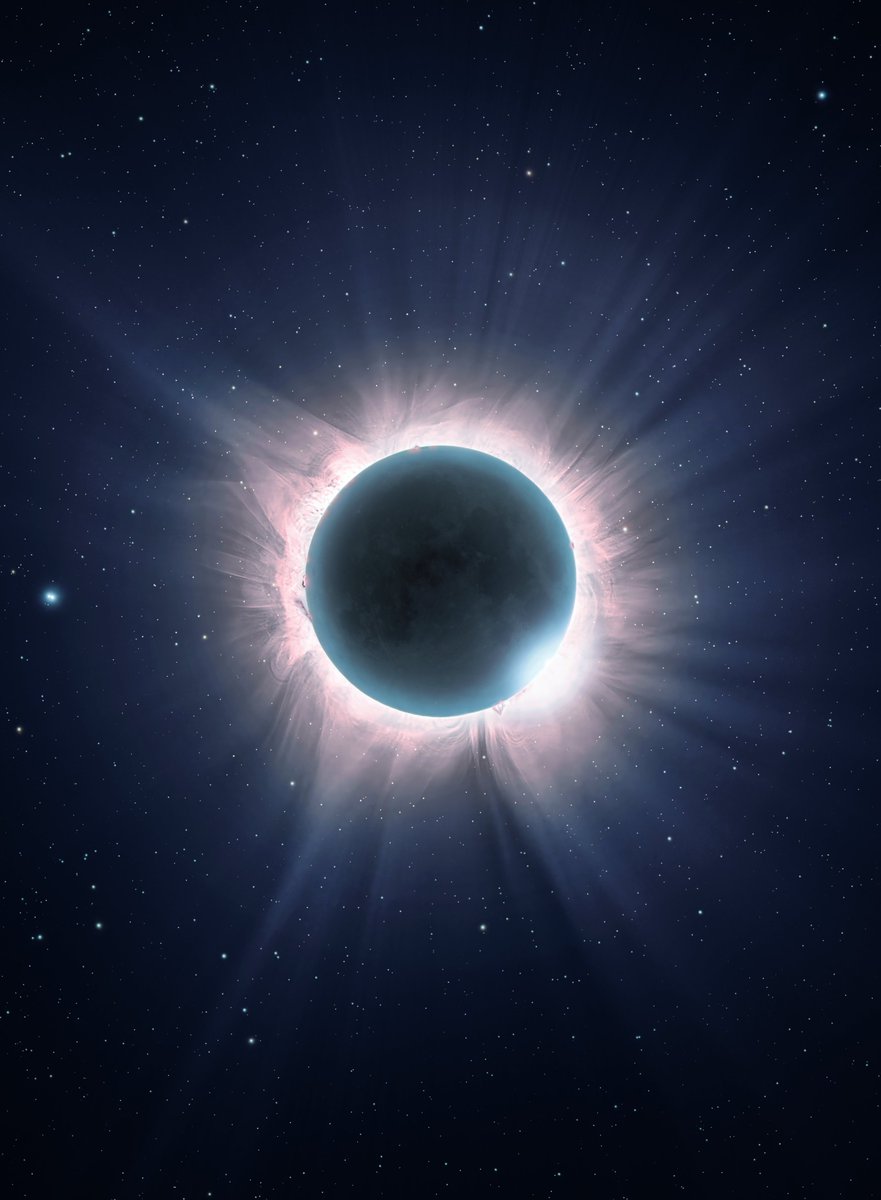 Andrew McCarthy tweet media