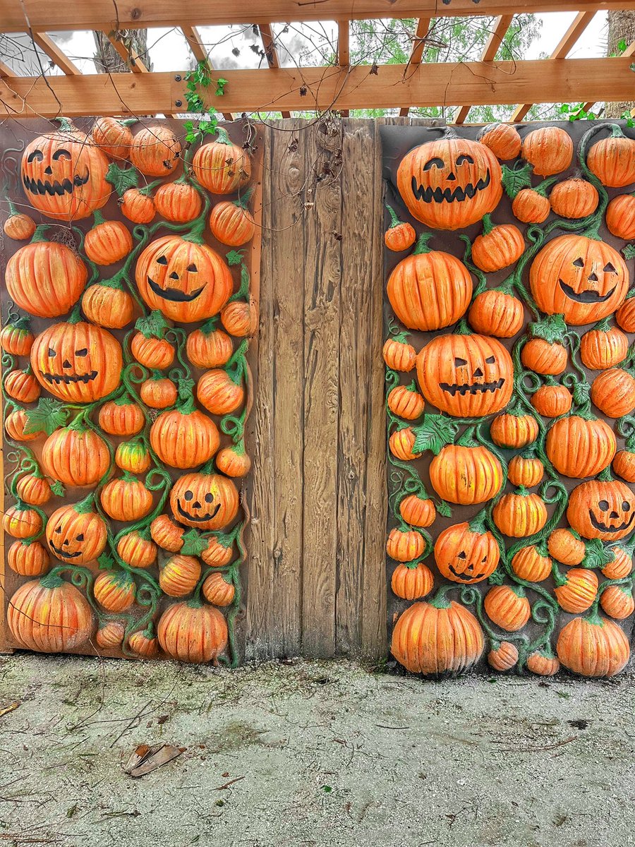 TuckBeck's tweet photo. On Halloween the Ghost is seen, and for some of us every day is Halloween… checkout this awesome Pumpkin Wall at Gators, Ghosts, &amp; Goblins! 🖤
.
#Pumpkins #GatorsGhostsAndGoblins
#GatorlandBucketList #PumpkinWall
#HalloweenBlogger #Halloween 🎃
#GatorlandBlogger #Gatorland 🐊 https://t.co/riBmQAv5Vh