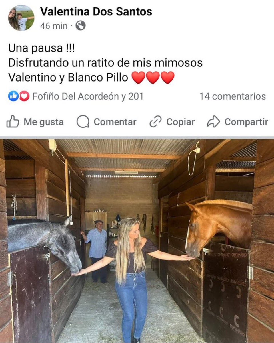 Fondo Ilustración Gráfica De Una Cabeza De Caballo Blanco Con Foto E Imagen  Para Descarga Gratuita - Pngtree, image size:959x1198