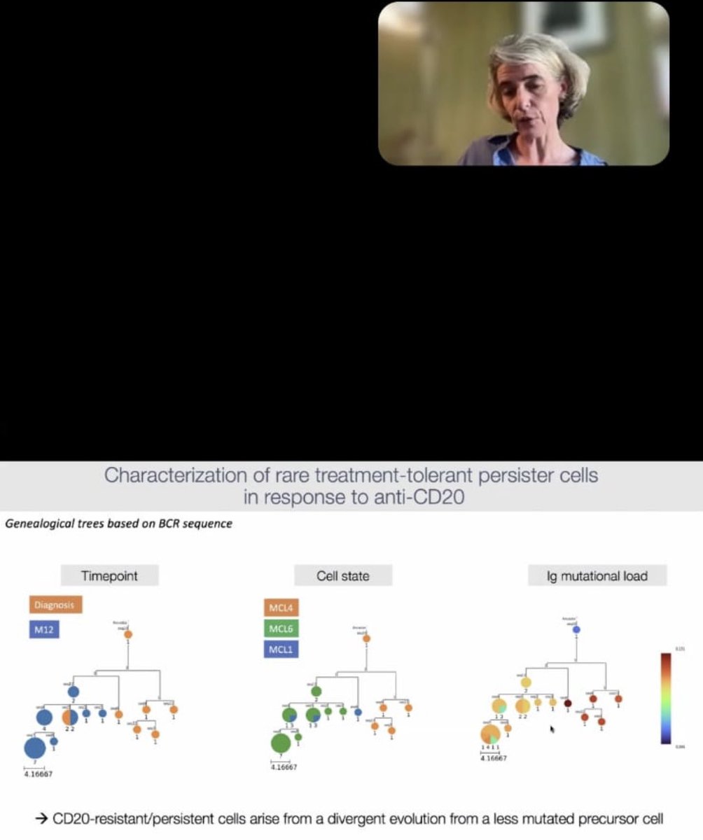 Sabrina Ranero Ferrari (@sabrinaranero) on Twitter photo Excellent Session 1 - Indolent Lymphoma !
Wiling Wednesdays free educational webinars
<a href="/WomenInLymphoma/">Women in Lymphoma - wil@lymphoma.org.au</a>
#lymphomas #womeninlymphoma Excellent Session 1 - Indolent Lymphoma !
Wiling Wednesdays free educational webinars
<a href="/WomenInLymphoma/">Women in Lymphoma - wil@lymphoma.org.au</a>
#lymphomas #womeninlymphoma