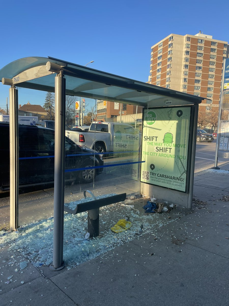 Brandon Christopher tweet media