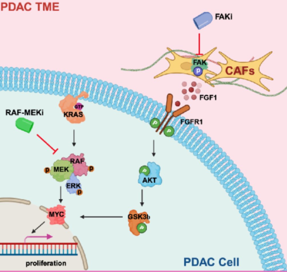 Anirban Maitra tweet media