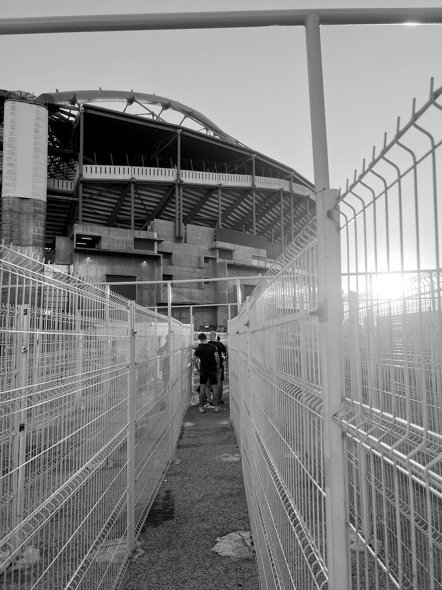 TP_1908's tweet image. Benfica - Feyenoord