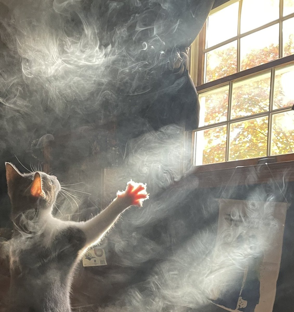 I4m166's tweet photo. #TheSmokeOfMemories + #ThroughTheWindowPane - #ClawsAndLaws https://t.co/OOt6h9JYVM