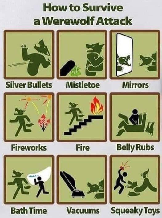 Meles MacBrock tweet media