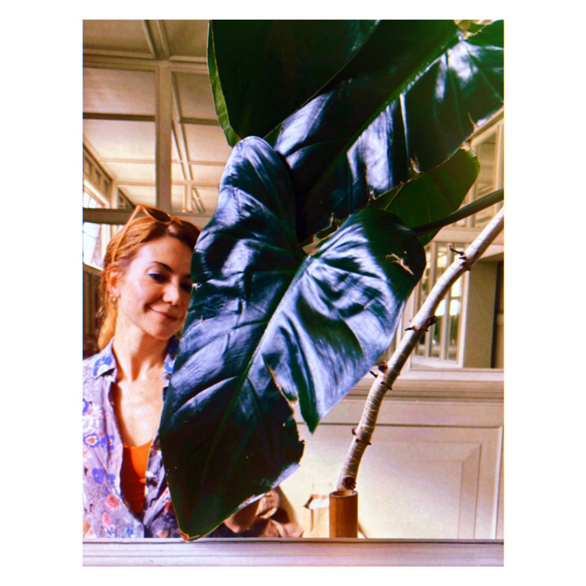 {Nuestras raíces siempre están ahí, debajo del cemento.}