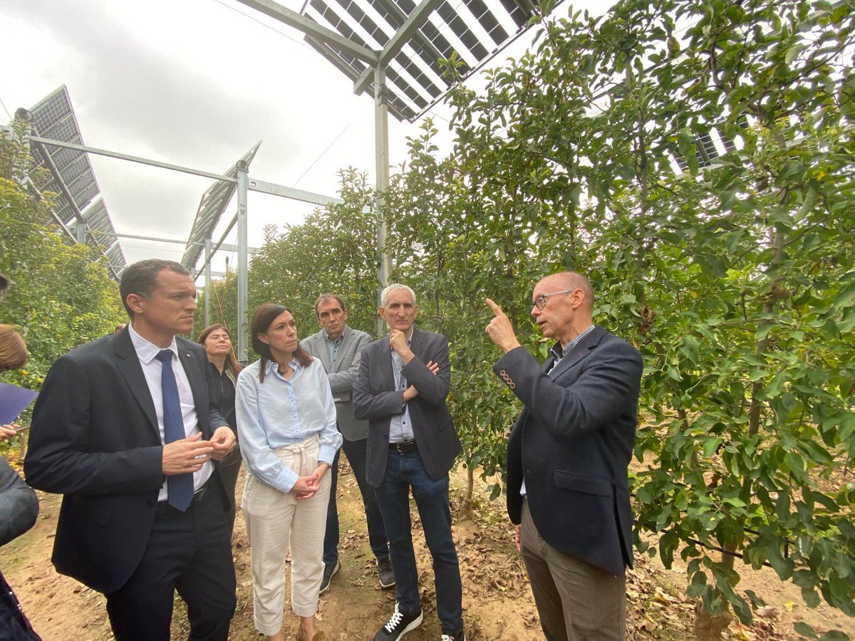 irtacat's tweet photo. Durant la XXIX Jornada Fructícola de Mollerussa, consolidada com un punt de referència clau per al sector fruiter, hem presentat la poma #STELLAR™️, una nova varietat adaptada als climes càlids, resultat de més de 20 anys d'investigació.🍏 https://t.co/21ptUxdNln