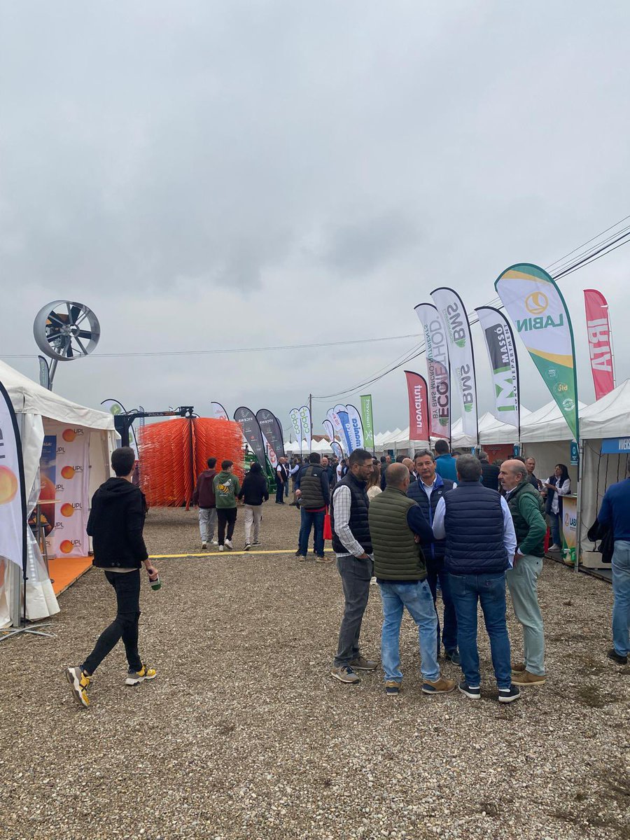 Durant la XXIX Jornada Fructícola de Mollerussa, consolidada com un punt de referència clau per al sector fruiter, hem presentat la poma #STELLAR™️, una nova varietat adaptada als climes càlids, resultat de més de 20 anys d'investigació.🍏