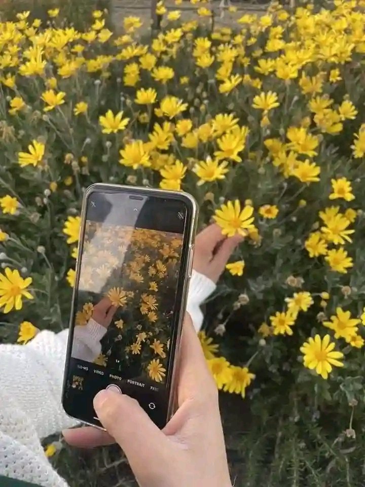 لوگ حال پوچھتے ہیں میں خود سے ناواقف ہوں&gt;🌻💙🍃
#Shanza
