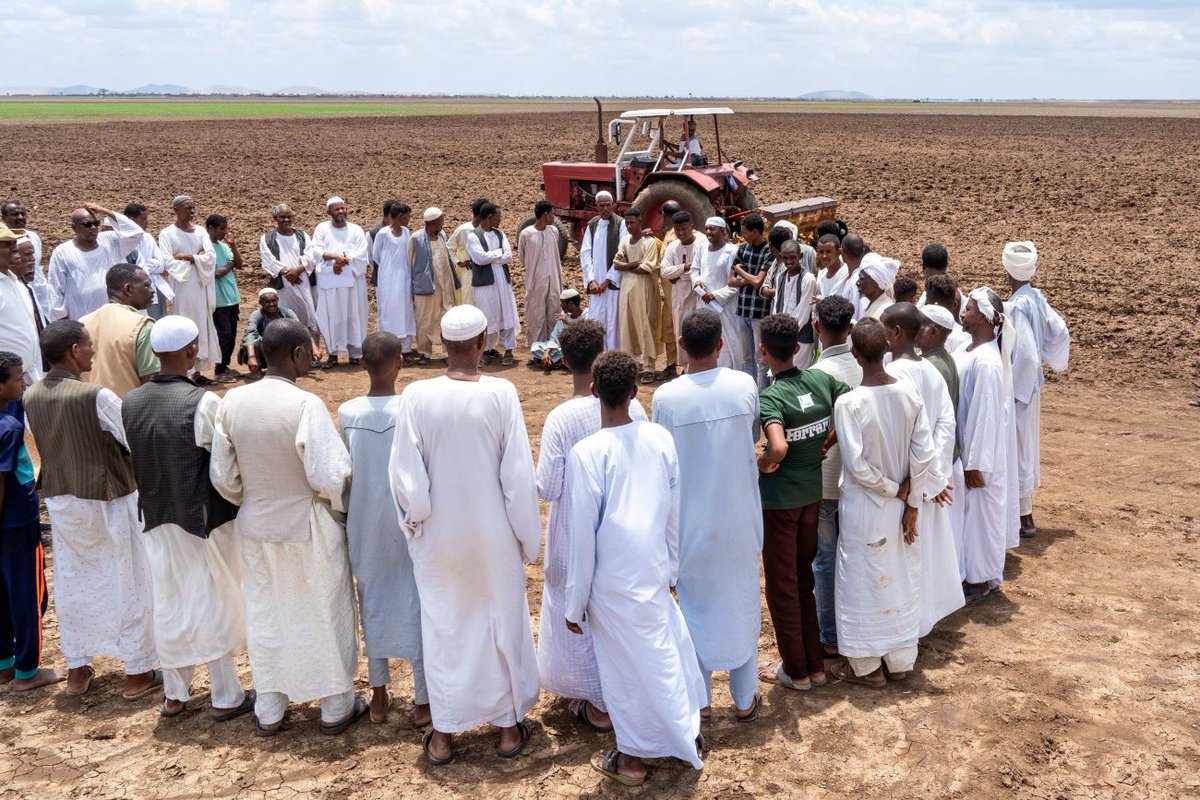 bramaccimmyt's tweet photo. We remain committed to turning hope into action. 

The @CIMMYT's #SASAS #FeedTheFuture program boosts food security in conflict-affected #Sudan by introducing high-yielding sorghum varieties through demonstration fields. 

#Read: https://t.co/ViEcku7eBI https://t.co/bdM1Gi1ybK
