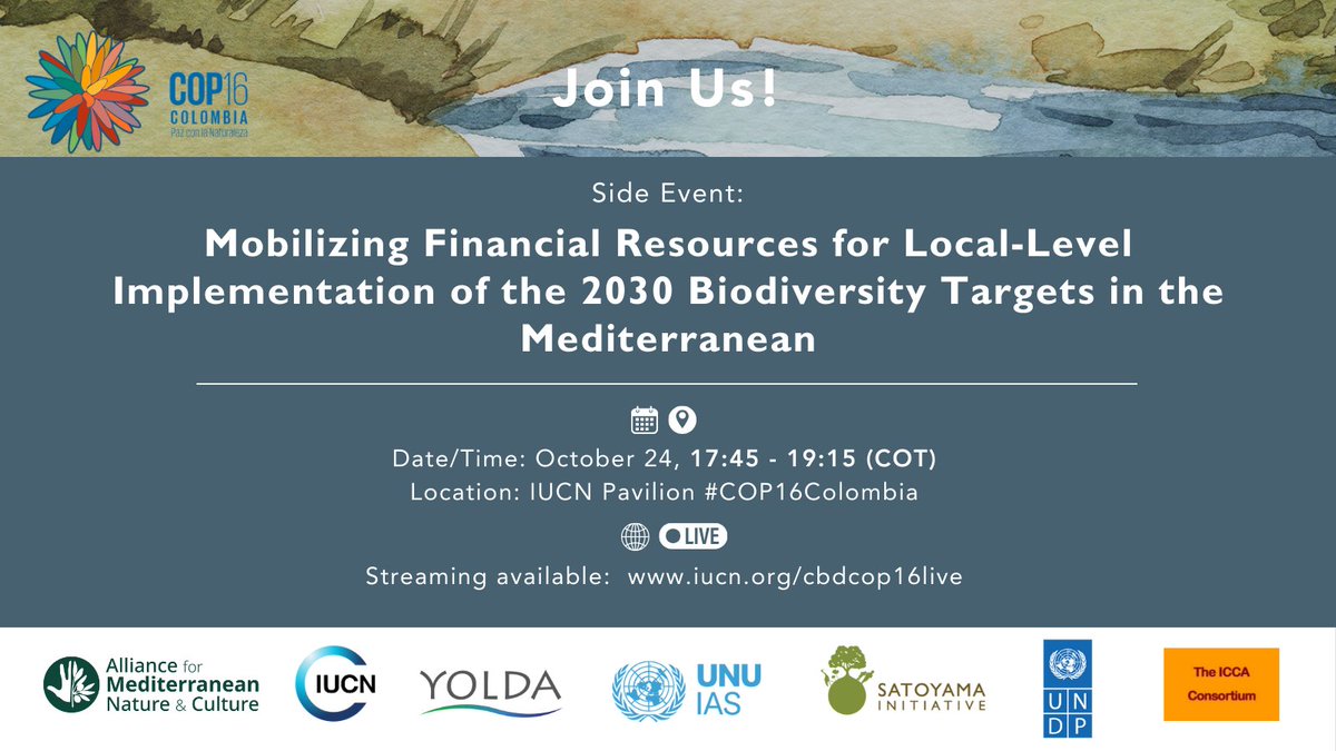 Yolda Initiative tweet media