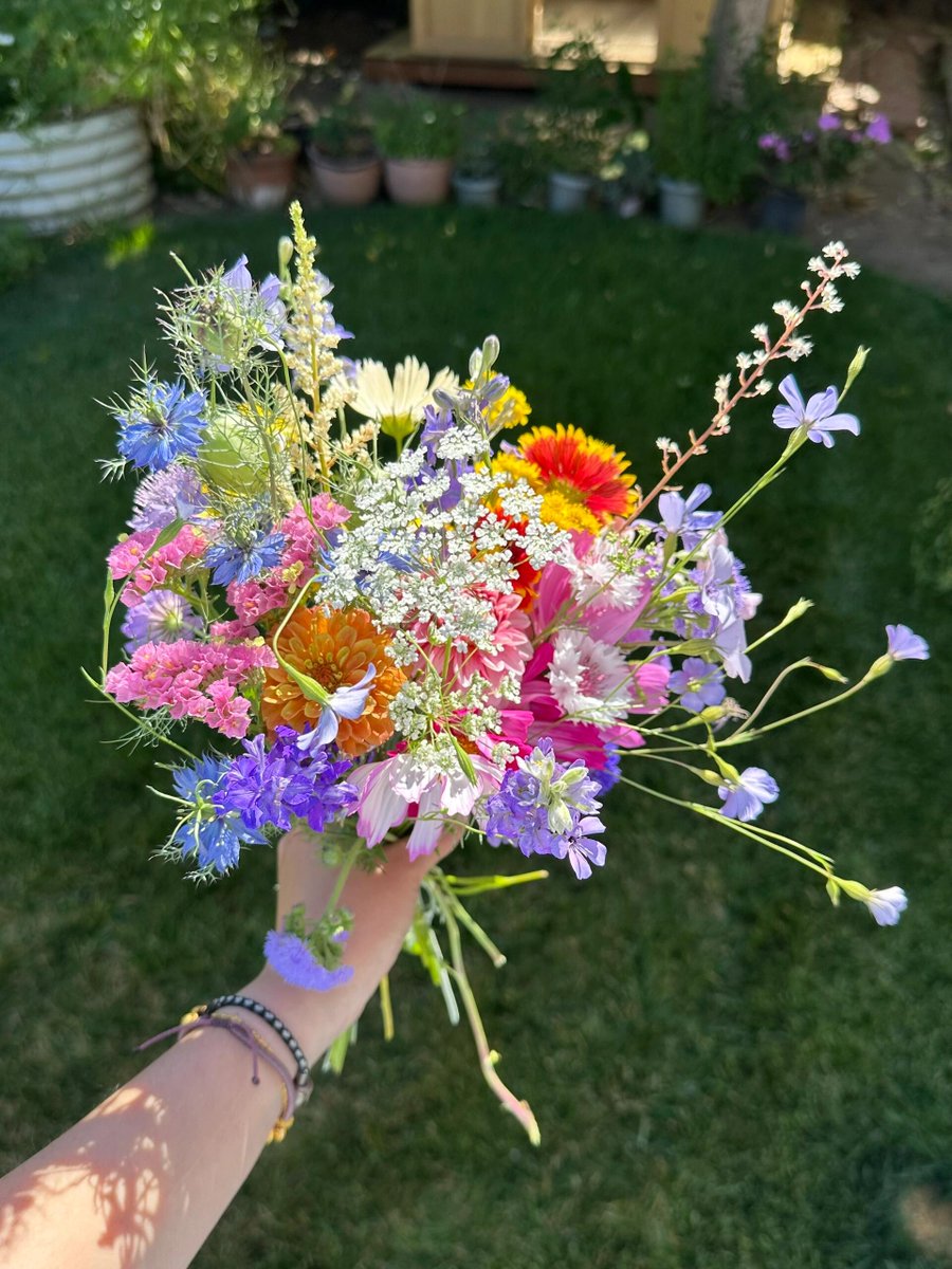 kiseffy's tweet image. In a world full of blooms, be a wildflower. 🌼