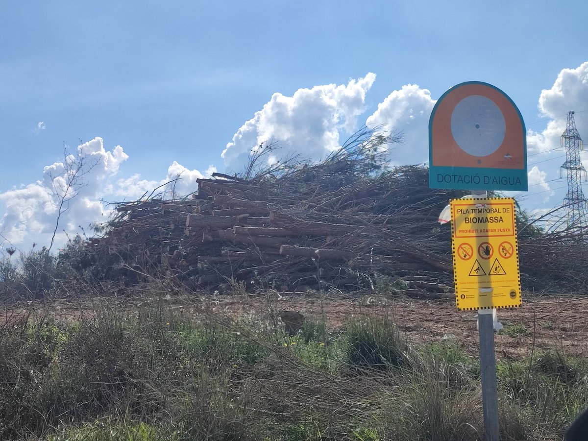Macia_daniel's tweet photo. La sortida d'avui he pogut observar els treballs forestals que s'estan duent a terme el pont de l'O (Òdena) on hi havia una gran quantitat de pins afectats pel fong. Cal dir, que és força important l'actuació. @CREAF_ecologia @AlertaForestal @VeuAnoia @RadioIgualada https://t.co/vsVnuqdQHx