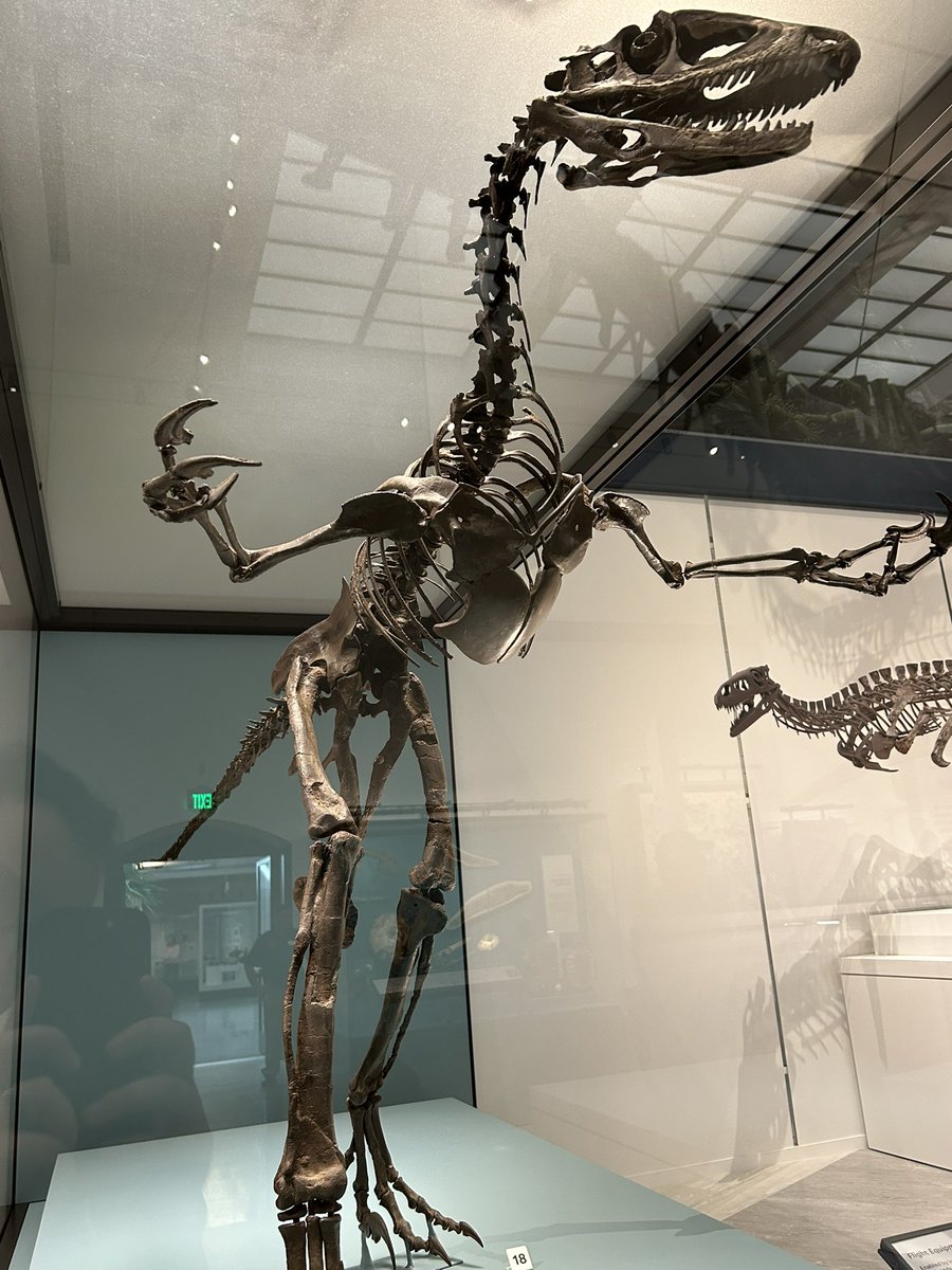 “And it was thiiiiiiis big!”