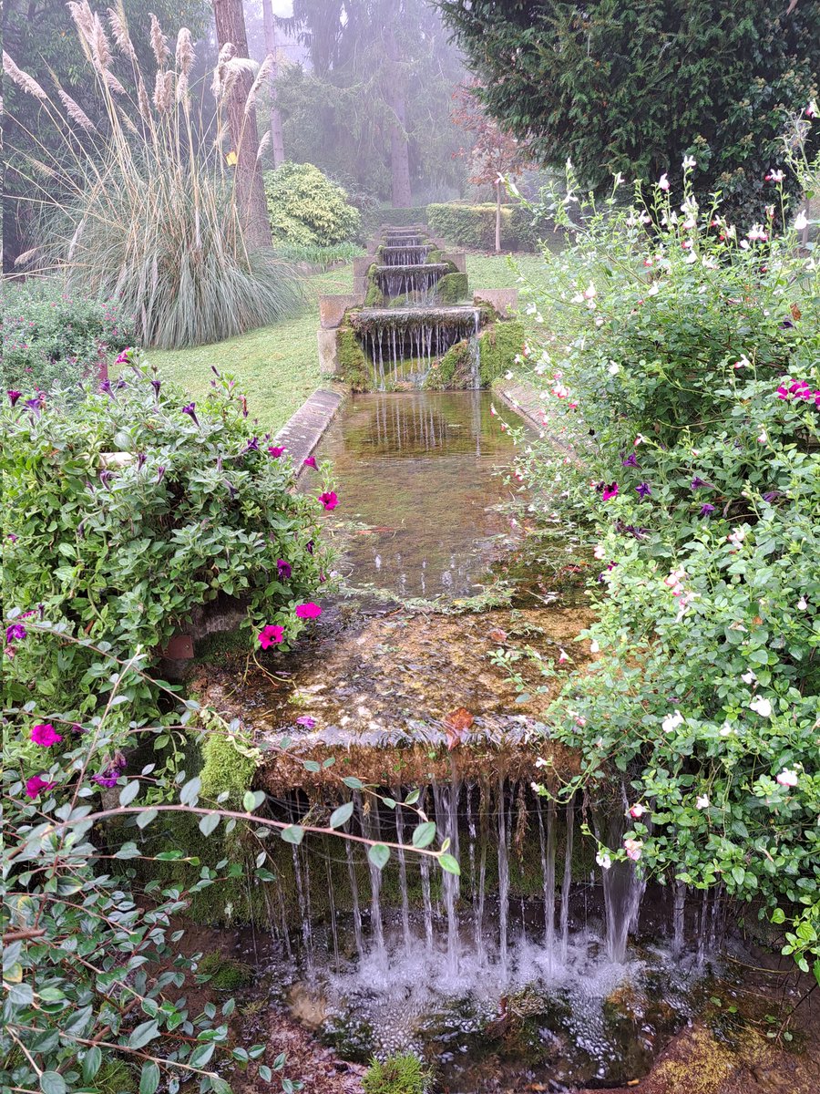 ch_hasenfratz's tweet photo. Ce matin de pré-collecte sur une commune que j'ai beaucoup parcouru il y a plus d'un an... #LaFalaise avec le beau jardin derrière la mairie 🤩
Belle soirée à tous ✨️🌹✨️ https://t.co/BrOHjh9kJL