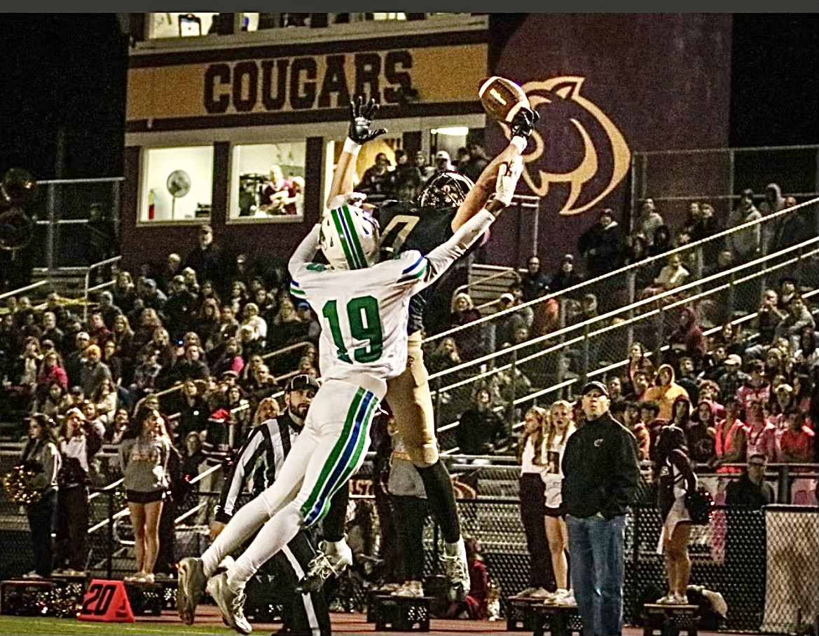 Collin.C.Henriques tweet media