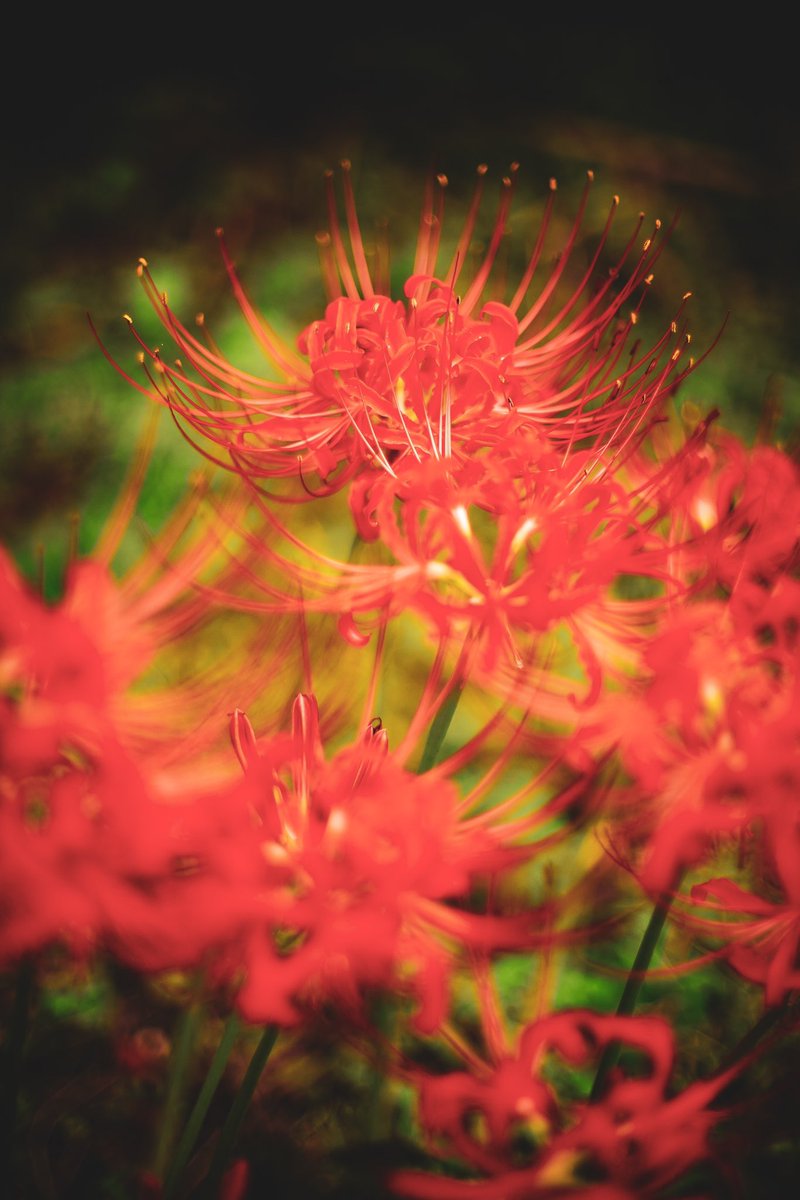 ๐ฐ๐ป๐ผ๐ฐ. tweet media