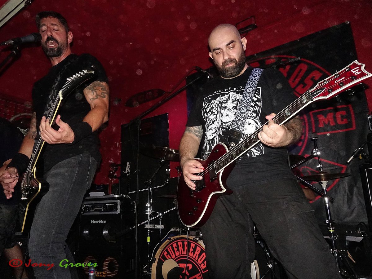 Four Noses tweet media