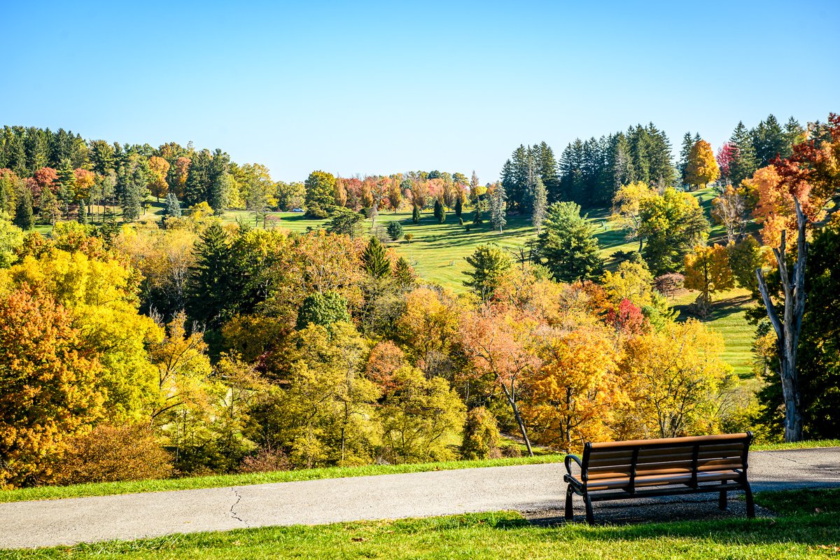 Visit Wheeling, WV tweet media