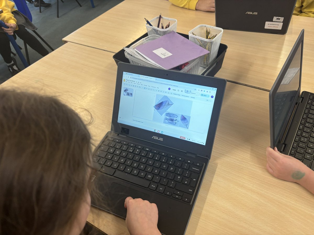 Bluebpef's tweet photo. We used Chromebook’s to work in pairs arranging, duplicating and editing our nature drawings! Next step multiply and print the wallpaper! https://t.co/VUlIuB0UDT