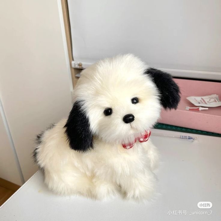 twaniimals's tweet photo. ㅤ https://t.co/fHoe8HUxjR