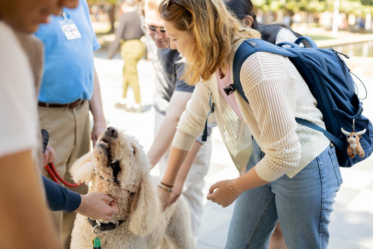 UTDStudents's tweet photo. Did you swing by UTD Military and Veterans Center's Paws for Heroes event? 🐾
Therapy and service dogs were there to offer some furry support for the new semester and share info on their amazing services! ♥ https://t.co/NWPPgTqzPj
