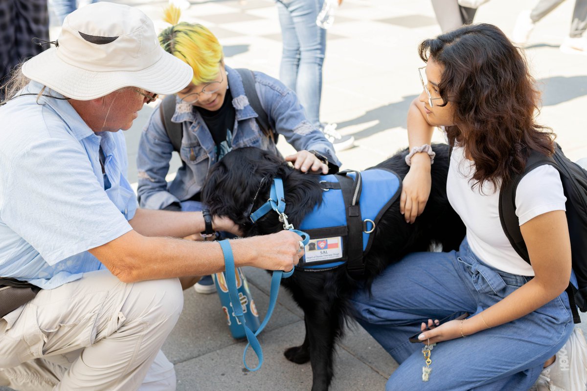 UTDStudents's tweet photo. Did you swing by UTD Military and Veterans Center's Paws for Heroes event? 🐾
Therapy and service dogs were there to offer some furry support for the new semester and share info on their amazing services! ♥ https://t.co/NWPPgTqzPj