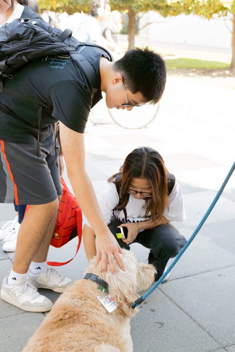 UTDStudents's tweet photo. Did you swing by UTD Military and Veterans Center's Paws for Heroes event? 🐾
Therapy and service dogs were there to offer some furry support for the new semester and share info on their amazing services! ♥ https://t.co/NWPPgTqzPj