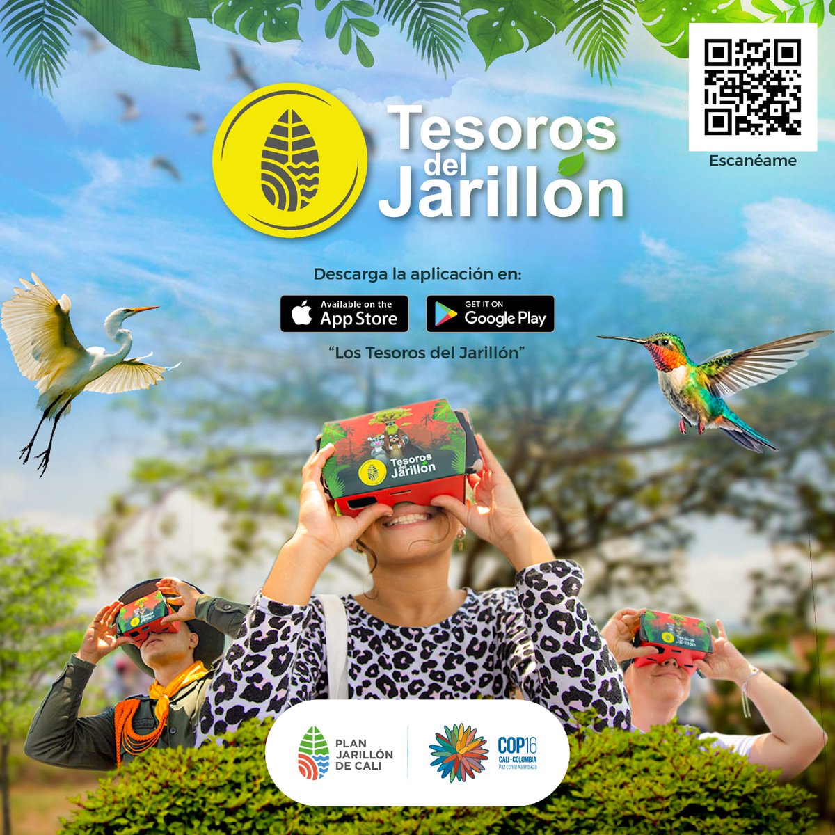 Plan Jarillón de Cali tweet media