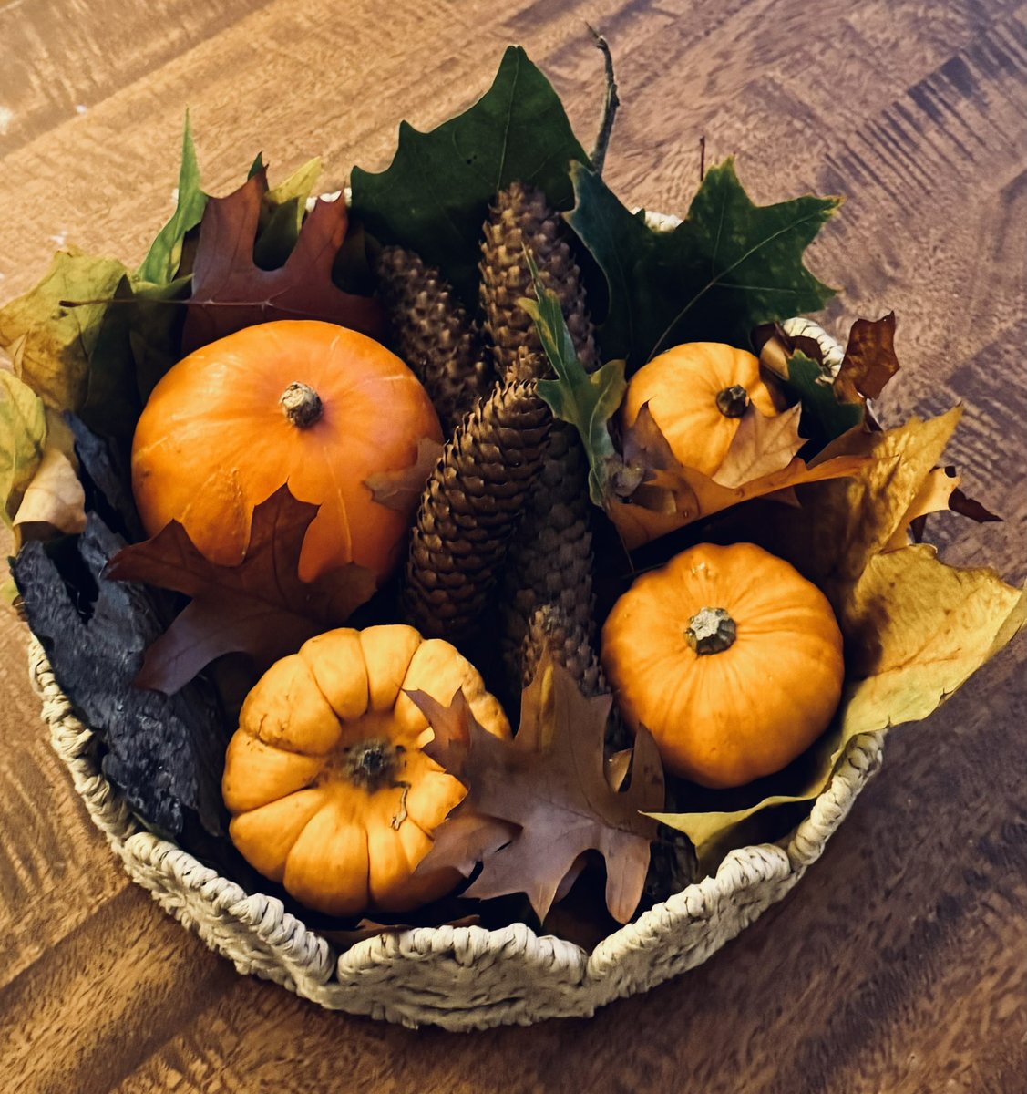 SuttonHighEYFS's tweet image. The nights are drawing in and the fire has been lit after a gorgeous, autumnal walk. Such a great time of the year!