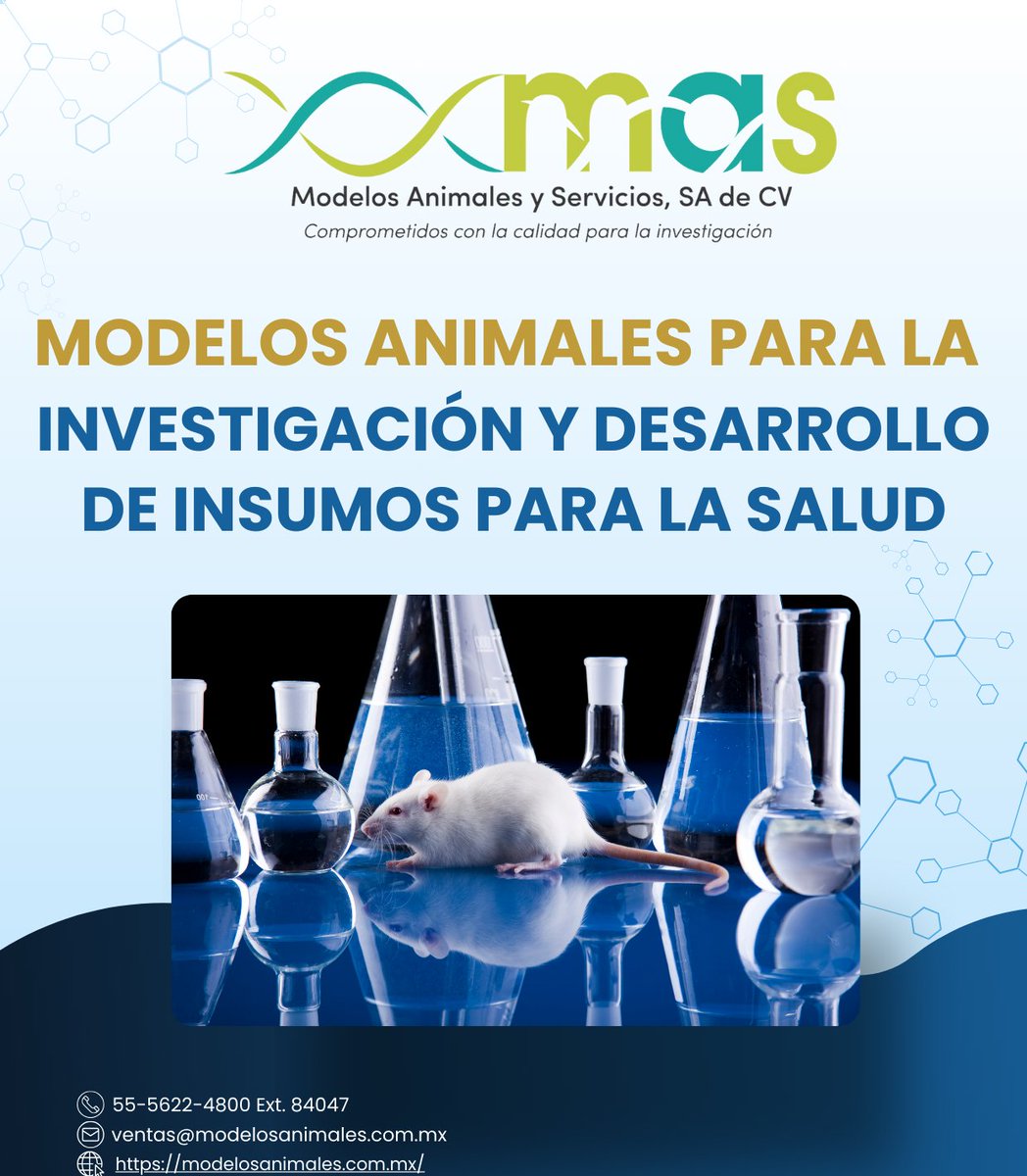 PatronatoAc's tweet photo. ¡Impulsa tu investigación científica con los mejores modelos animales! mas y @quimica_unam te ofrece 𝐫𝐨𝐞𝐝𝐨𝐫𝐞𝐬 𝐝𝐞 𝐥𝐚𝐛𝐨𝐫𝐚𝐭𝐨𝐫𝐢𝐨 𝐝𝐞 𝐥𝐚 𝐦á𝐬 𝐚𝐥𝐭𝐚 𝐜𝐚𝐥𝐢𝐝𝐚𝐝 𝐠𝐞𝐧𝐞́𝐭𝐢𝐜𝐚 𝐲 𝐦𝐢𝐜𝐫𝐨𝐛𝐢𝐨𝐥𝐨́𝐠𝐢𝐜𝐚. 
https://t.co/v9oc7O5ODl https://t.co/Flk0OTHlL7