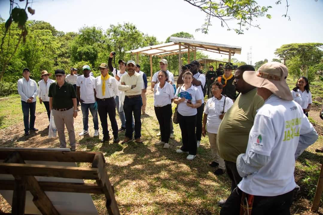 Plan Jarillón de Cali tweet media