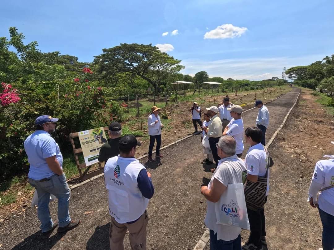 Plan Jarillón de Cali tweet media