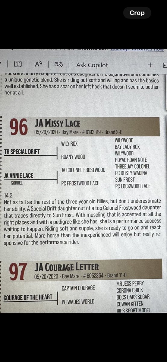 Matt Ivy tweet media