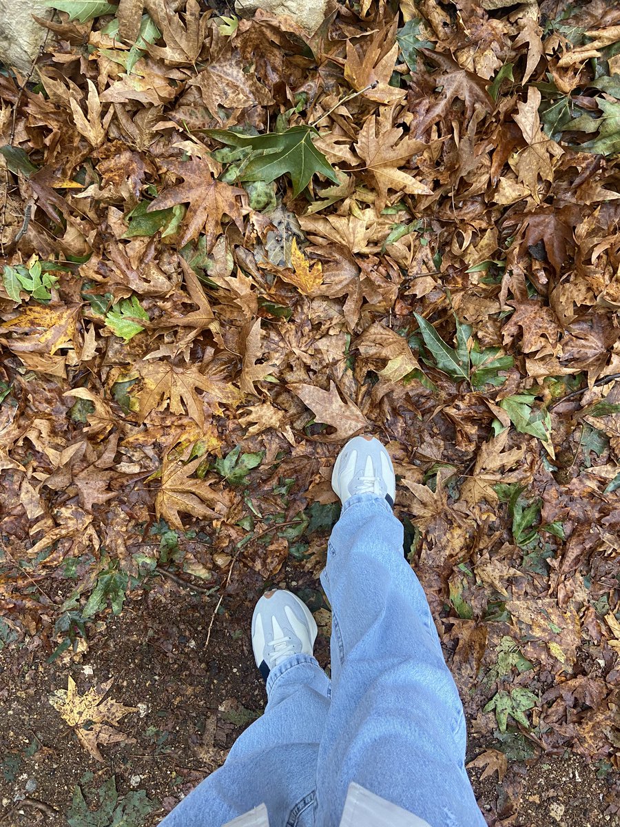 یک‌عدد نویسنده فرفری😌💙 tweet media