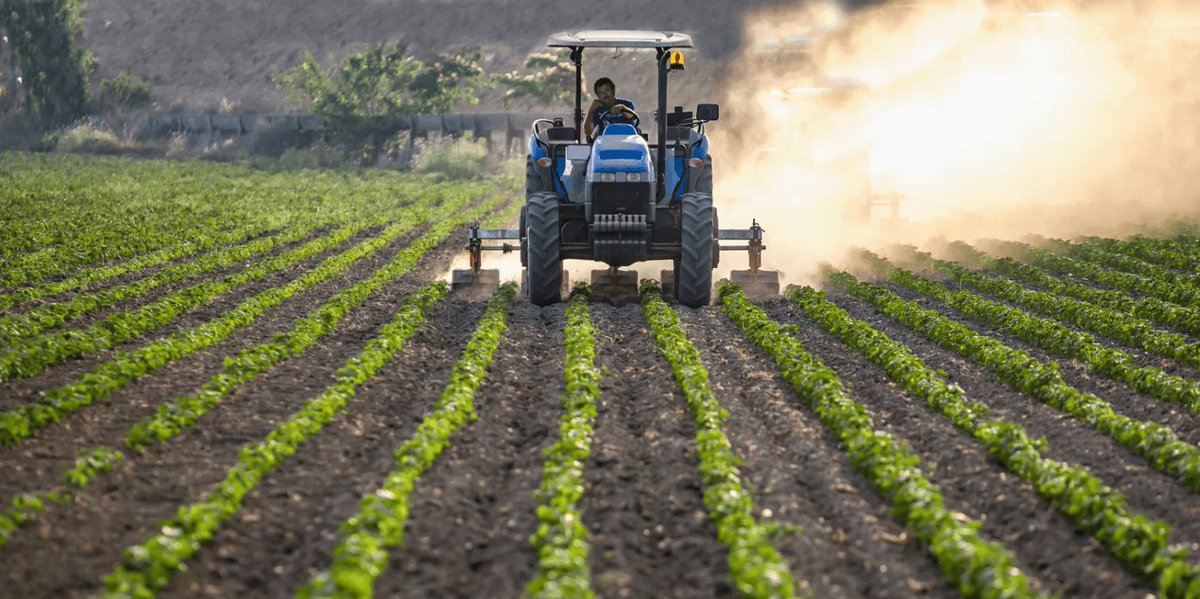 wisecodeai's tweet image. 🌱 Did you know our plates may be full, but our bodies could be starved for nutrients?

Join the conversation on nourishing our bodies and reshaping our food systems! 🍏🌍

Read more here: buff.ly/3UoYI3B 

#NutrientDensity #HiddenHunger #Agriculture #WISEcode