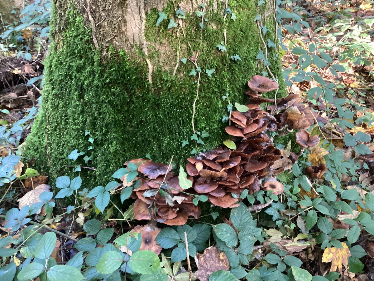 JOHN.D (@jdrittij) on Twitter photo 