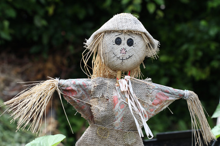 Gross Ins. Agency tweet media