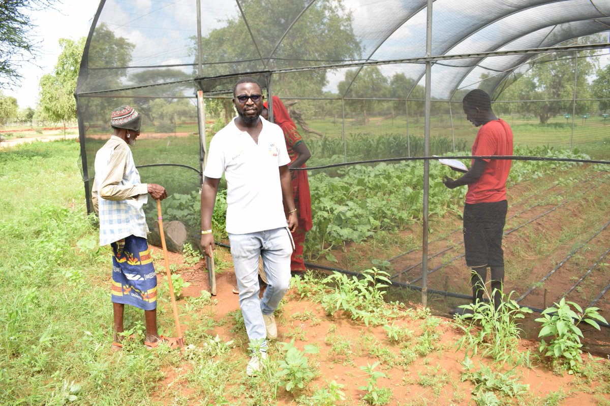 CordaidKenya's tweet photo. The development of ISO 18716 was a 7-year collaborative journey, representing a global consensus on what makes a professional farmer organization #ISO18716 #AMEA
You can access the standard using the link below
https://t.co/NGpv59DrQ1 https://t.co/kWfM5xMTEX