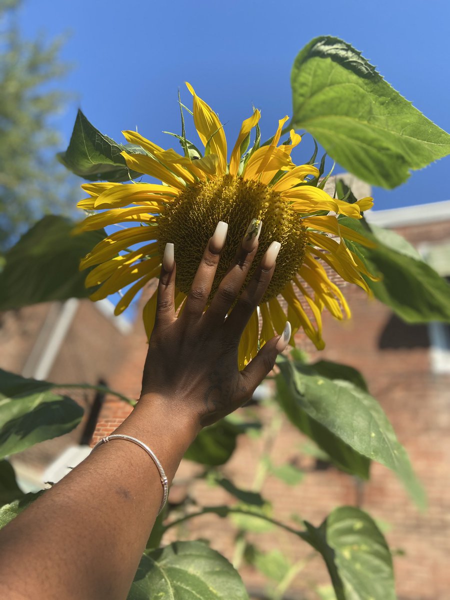 My favorite’s 🥰😻